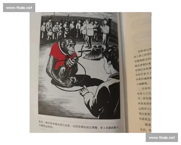 在历史风云与人性博弈中尘埃落定的时代回响与命运沉浮之深层叙事