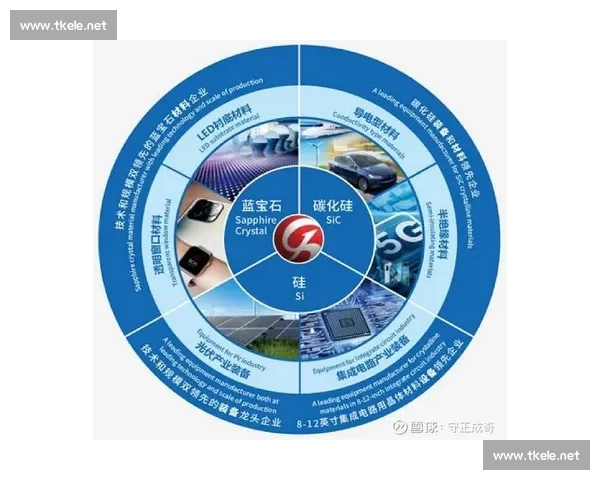 以财务稳健为核心推动企业可持续发展与长期竞争力提升的战略路径分析